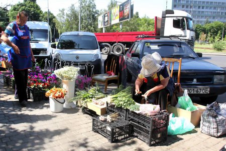 У Дома мебели создали альтернативу стихийной торговле «с земли» (фоторепортаж)