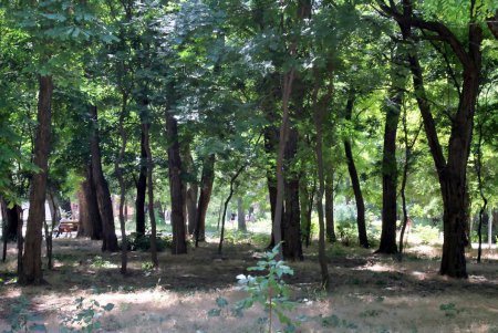 В Преображенском парке возводят входные арки (фоторепортаж)