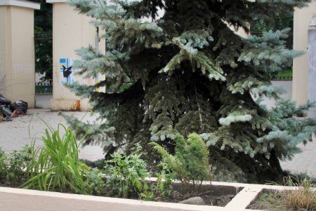 «Свободное» пространство в сердце Одессы: от чего, зачем и для кого? (фоторепортаж)