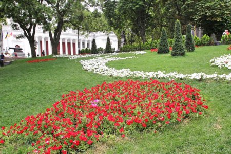 Отдыхающие восторгаются цветниками Одессы (фоторепортаж)