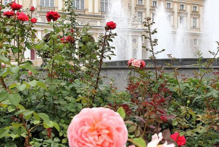 Отдыхающие восторгаются цветниками Одессы (фоторепортаж)