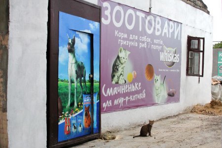 Слободка: храм, мусор, грязь и одесский «загар» (фоторепортаж) 