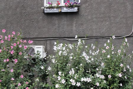 Слободка: храм, мусор, грязь и одесский «загар» (фоторепортаж) 