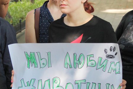 Скромный одесский митинг в поддержку утверждения: «Украина — не живодерня» (фото)