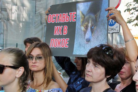 Скромный одесский митинг в поддержку утверждения: «Украина — не живодерня» (фото)