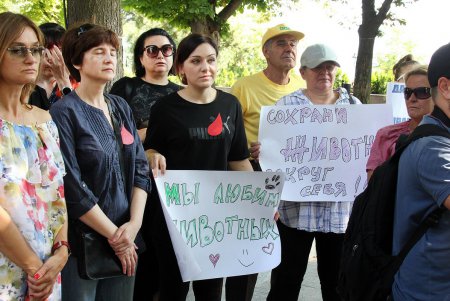 Скромный одесский митинг в поддержку утверждения: «Украина — не живодерня» (фото)