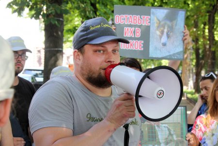 Скромный одесский митинг в поддержку утверждения: «Украина — не живодерня» (фото)