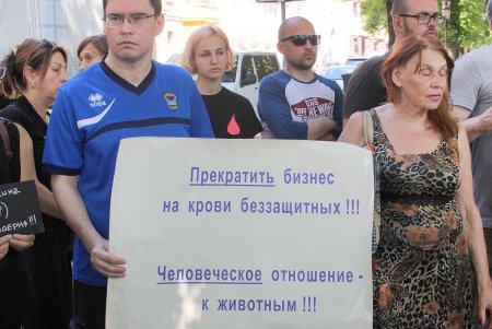Скромный одесский митинг в поддержку утверждения: «Украина — не живодерня» (фото)