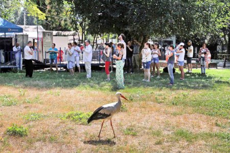 В Одесском зоопарке состоялся «День спорта» (фоторепортаж)