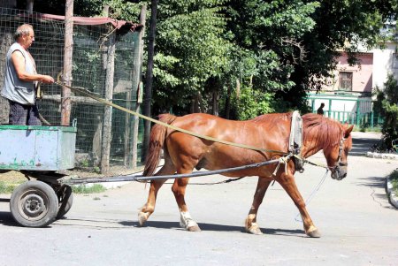В Одесском зоопарке состоялся «День спорта» (фоторепортаж)