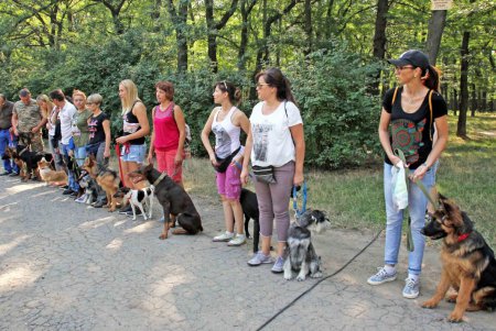В Дюковском парке открылась площадка для выгула собак (фоторепортаж)