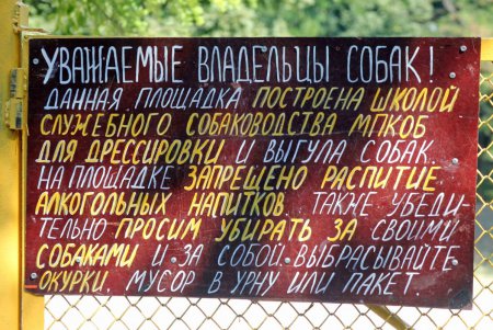 В Дюковском парке открылась площадка для выгула собак (фоторепортаж)