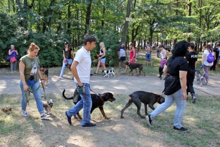 В Дюковском парке открылась площадка для выгула собак (фоторепортаж)