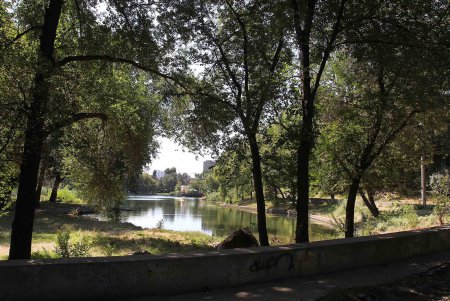 Прогулка вместе с «Одесситом»: Дюковский парк (фоторепортаж)