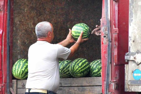 В Одессе проверят точки по продаже бахчевых (фото)