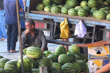 В Одессе проверят точки по продаже бахчевых (фото)