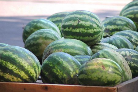 В Одессе проверят точки по продаже бахчевых (фото)