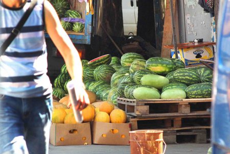 В Одессе проверят точки по продаже бахчевых (фото)