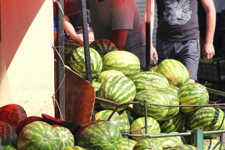 В Одессе проверят точки по продаже бахчевых (фото)