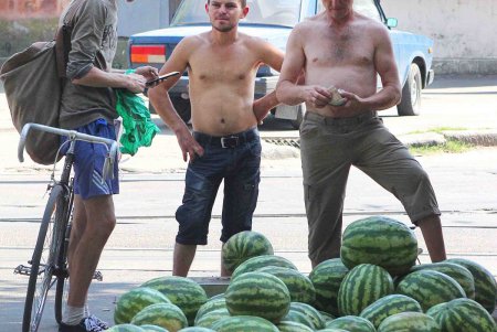 В Одессе проверят точки по продаже бахчевых (фото)