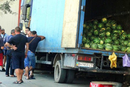 В Одессе проверят точки по продаже бахчевых (фото)
