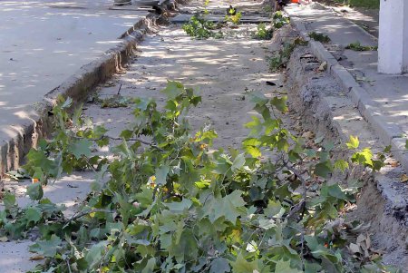 Работы на улице Сегедской близятся к завершению (фоторепортаж)