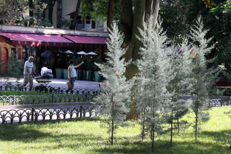 Прогулка вместе с «Одесситом»: жаркий летний день в центре Южной Пальмиры (фоторепортаж)