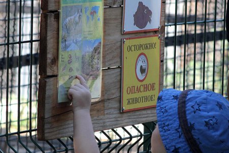 Проявить любовь к животным можно, став их опекуном в Одесском зоопарке