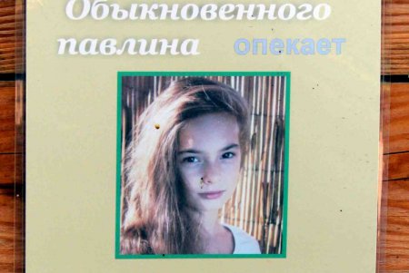 Проявить любовь к животным можно, став их опекуном в Одесском зоопарке