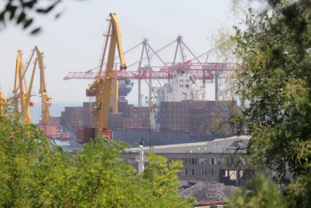 Прогулка вместе с «Одесситом»: Стамбульский парк (фоторепортаж)