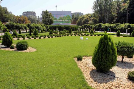 Прогулка вместе с «Одесситом»: оазис в центре Черемушек (фоторепортаж)