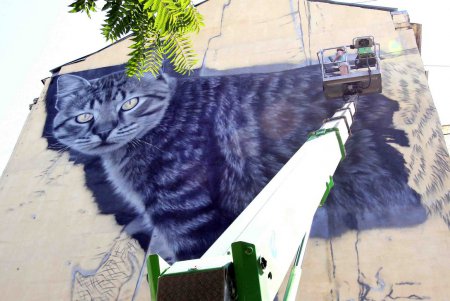 Коты оккупировали Одессу (фоторепортаж)