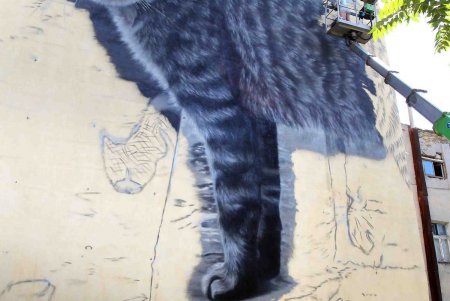 Коты оккупировали Одессу (фоторепортаж)