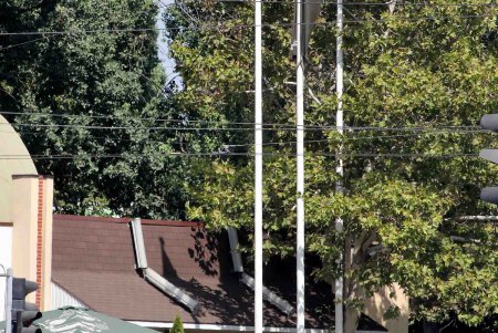 Прогулка вместе с  «Одесситом»: площадь Толбухина в ожидании реконструкции (фоторепортаж)