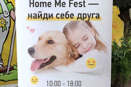 В Одессе состоялся фестиваль помощи бездомным животным (фоторепортаж)