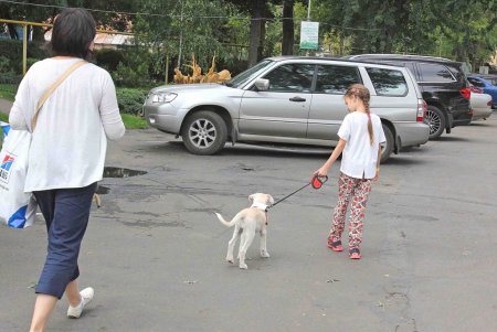 В Одессе состоялся фестиваль помощи бездомным животным (фоторепортаж)