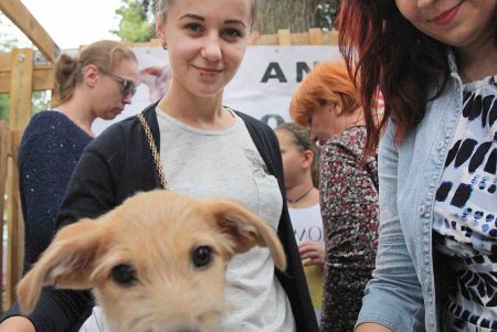 В Одессе состоялся фестиваль помощи бездомным животным (фоторепортаж)