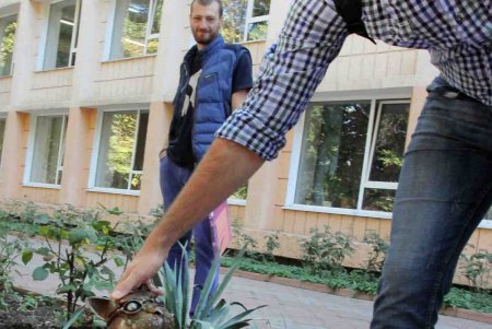 У одесского Политеха бродит железный кот (фоторепортаж)
