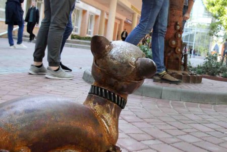 У одесского Политеха бродит железный кот (фоторепортаж)