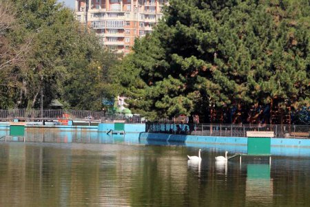 Прогулка вместе с «Одесситом»: парк Победы, будний день (фоторепортаж)