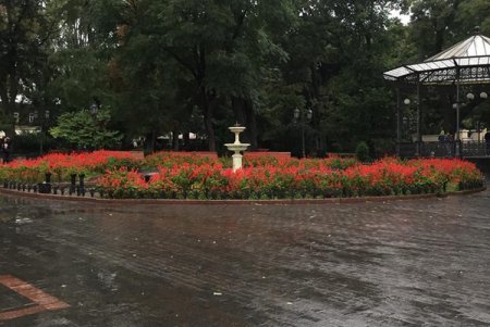 Дождь в Одессе (фоторепортаж)