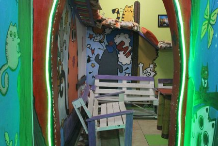 Одесская КОТейня (фоторепортаж)