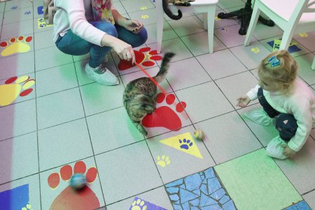 Одесская КОТейня (фоторепортаж)