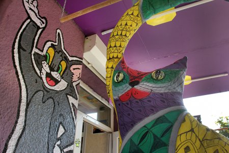Одесская КОТейня (фоторепортаж)