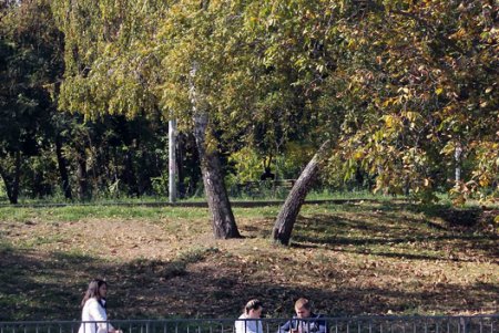 Золотая осень в парке Победы (фоторепортаж)