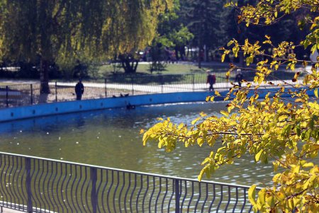 Золотая осень в парке Победы (фоторепортаж)