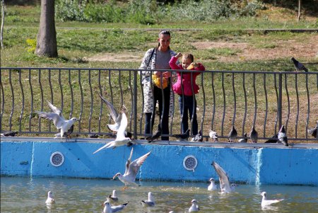 Золотая осень в парке Победы (фоторепортаж)