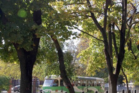 Культурное наследие одесской Молдаванки (фоторепортаж)