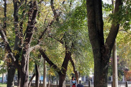 Культурное наследие одесской Молдаванки (фоторепортаж)