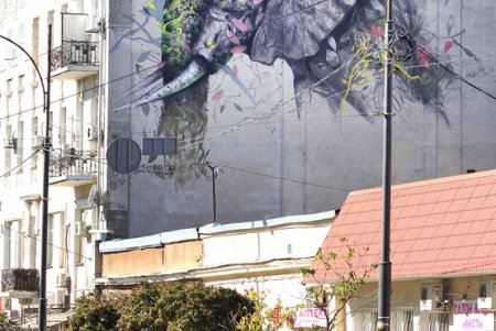 Муралы на стенах одесских домов (фоторепортаж)